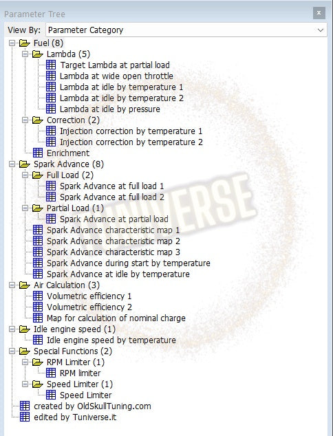 Benelli BN 302 ecu chip tuning delphi