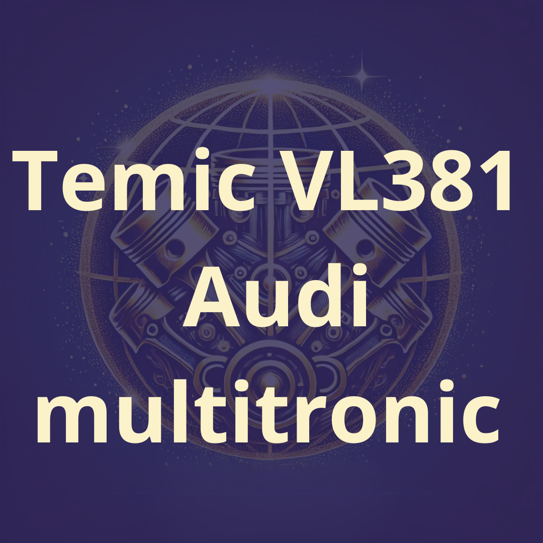 Audi temic tunerpro oldskulltuning