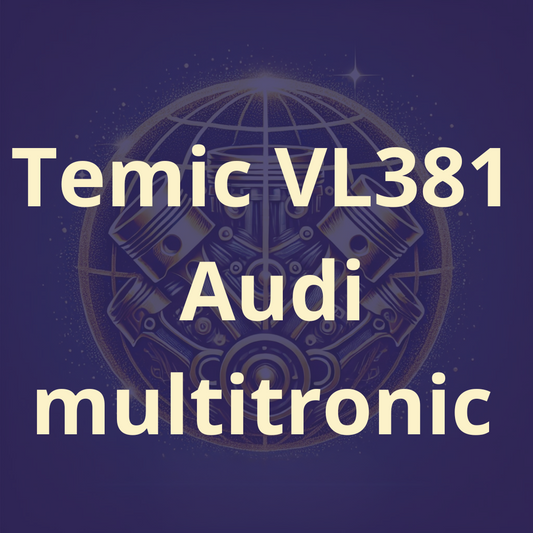 Audi temic tunerpro oldskulltuning