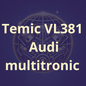 Audi temic tunerpro oldskulltuning